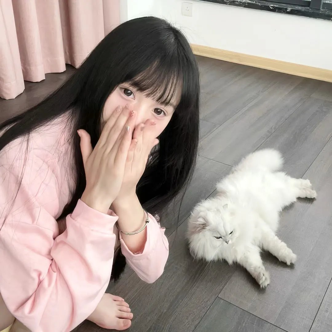 瞒天计划