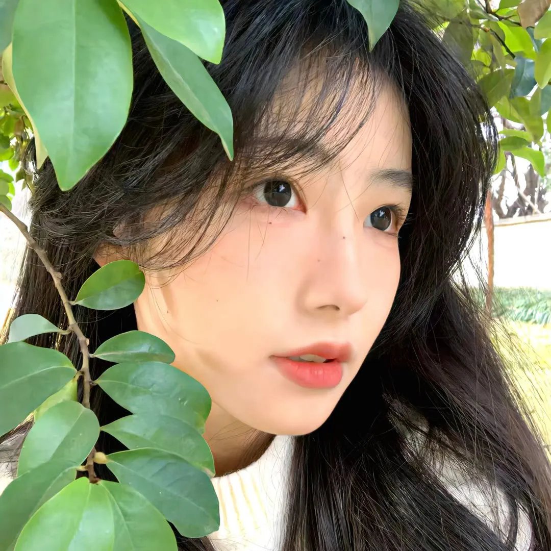 扶桑有狐