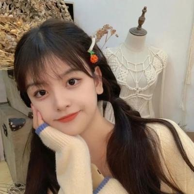 阿莱蒂公主